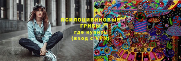 тгк Алексин