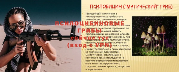 а пвп мука Алзамай