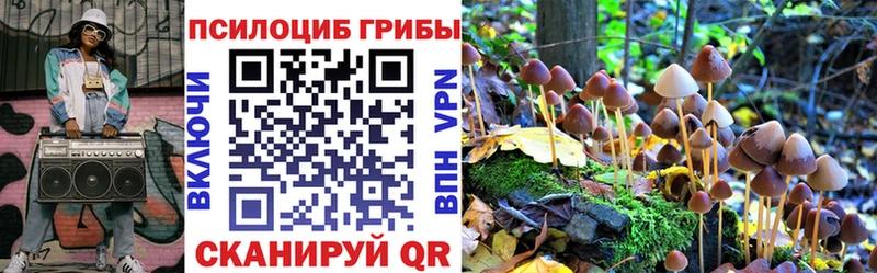 Купить где  Краснослободск  Псилоцибиновые грибы GOLDEN TEACHER 