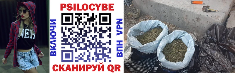 Галлюциногенные грибы Cubensis Краснослободск
