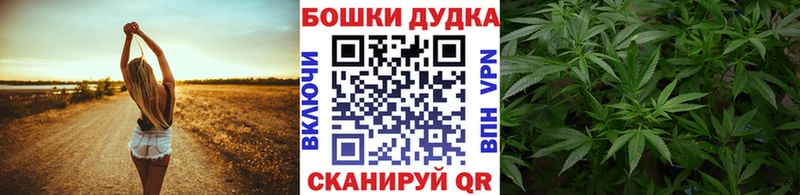 Купить где  Краснослободск  Марихуана ГИДРОПОН 